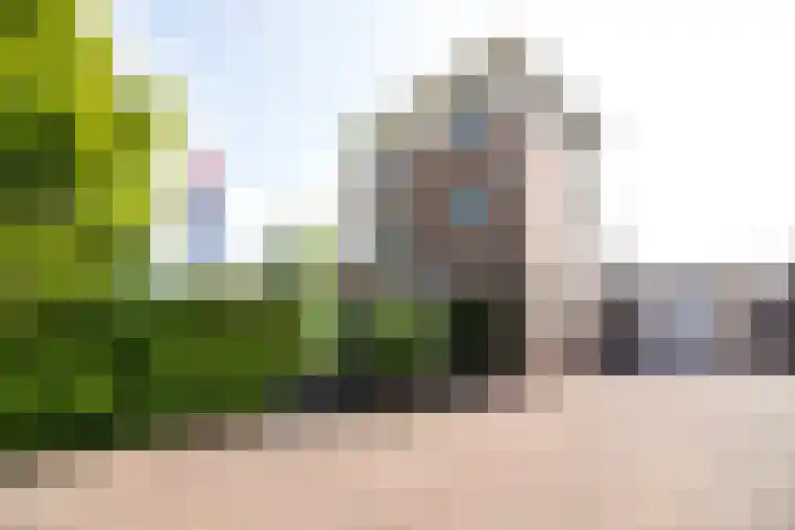 Nuwendoorn 72 Grootebroek thumbnail 6