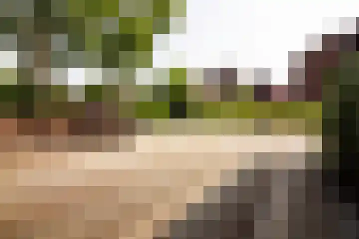 Nuwendoorn 72 Grootebroek thumbnail 65