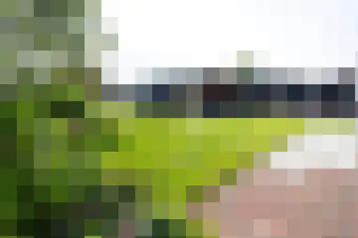 Nuwendoorn 72 Grootebroek thumbnail 66