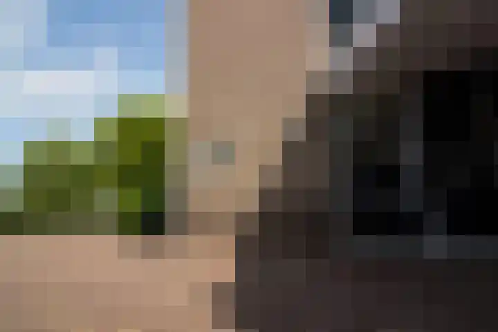 Nuwendoorn 72 Grootebroek thumbnail 7