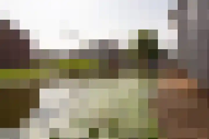 Nuwendoorn 72 Grootebroek thumbnail 72
