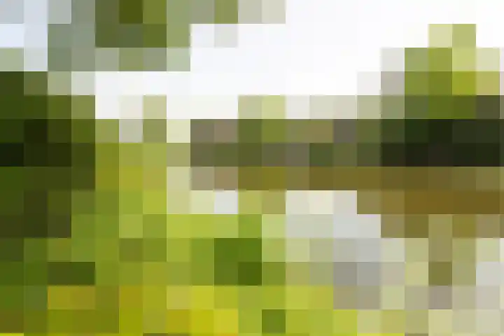 Nuwendoorn 72 Grootebroek thumbnail 73