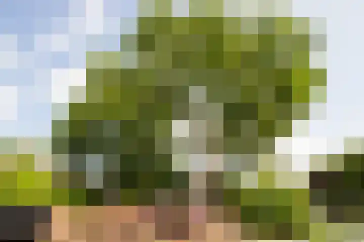 Nuwendoorn 72 Grootebroek thumbnail 74