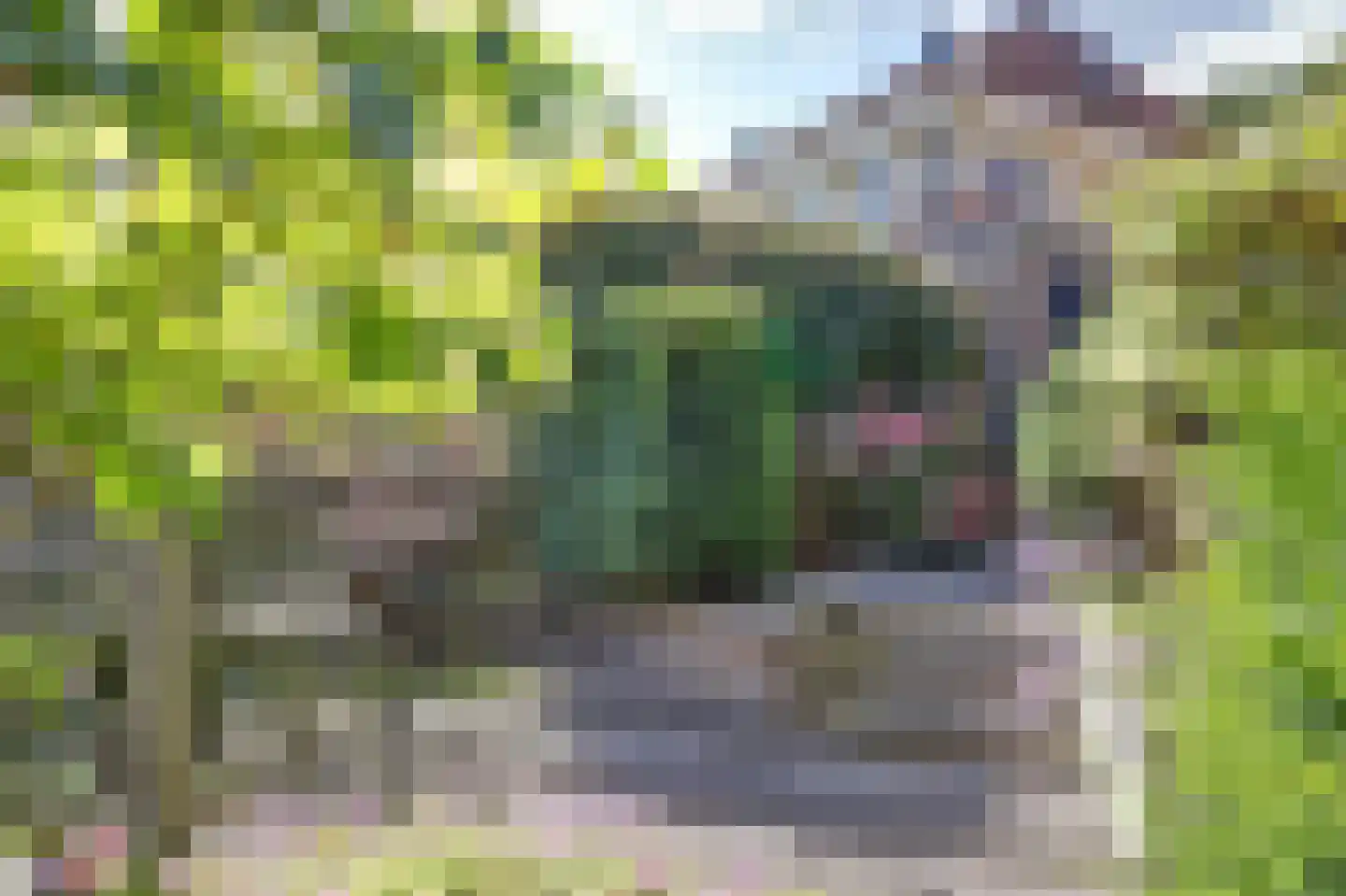 Nuwendoorn 94 Grootebroek thumbnail 23