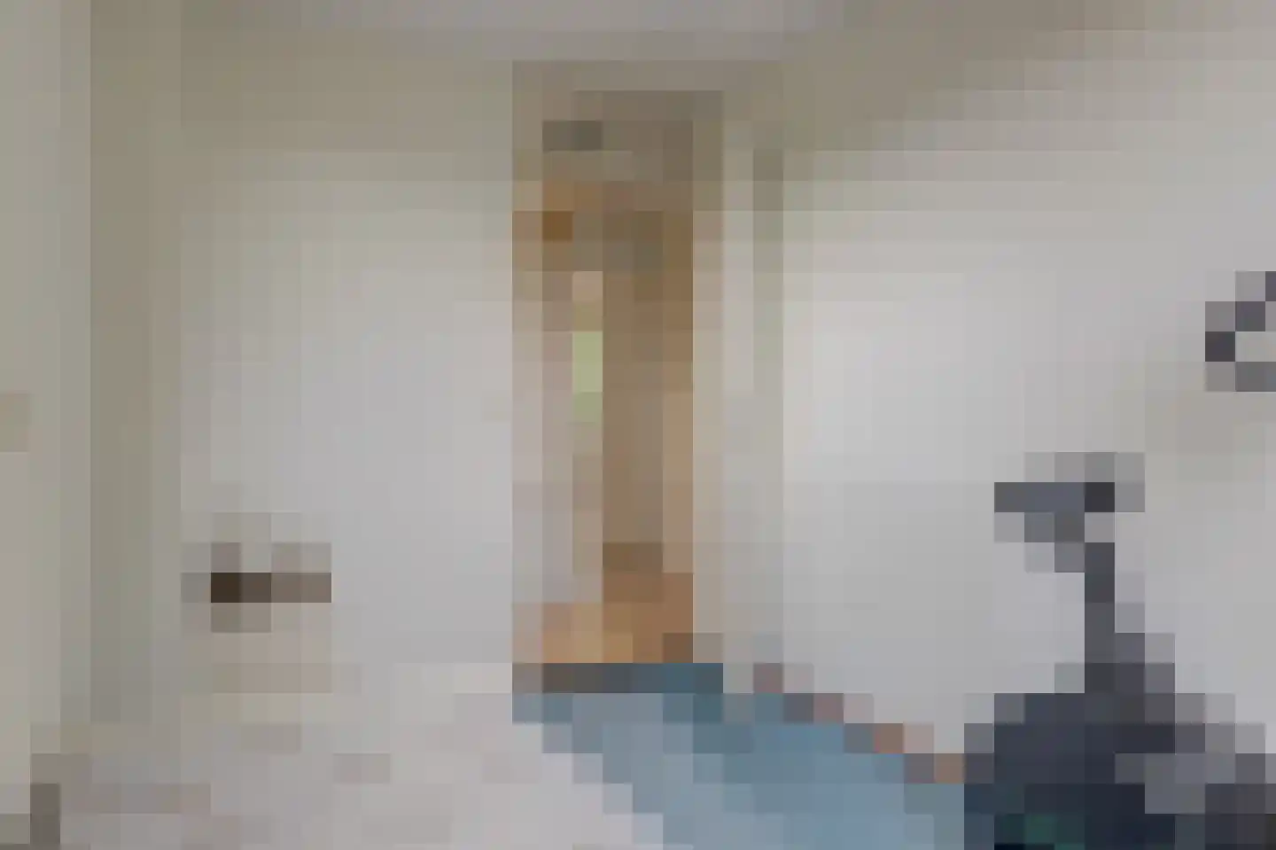 Nuwendoorn 94 Grootebroek thumbnail 31