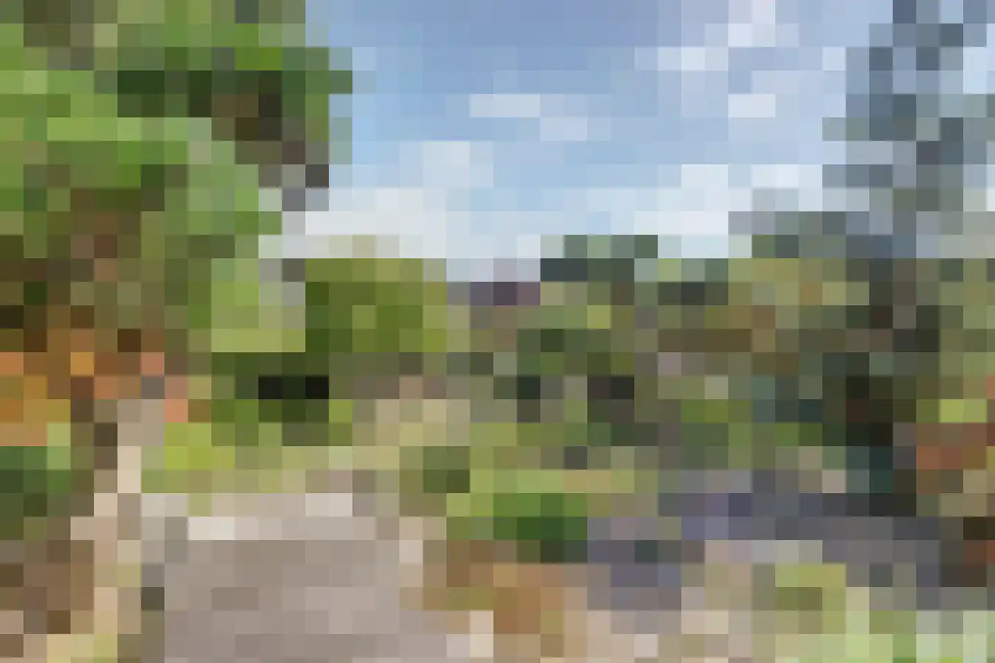 Nuwendoorn 94 Grootebroek thumbnail 4