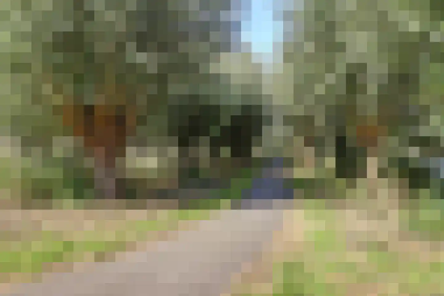 Nuwendoorn 94 Grootebroek thumbnail 41
