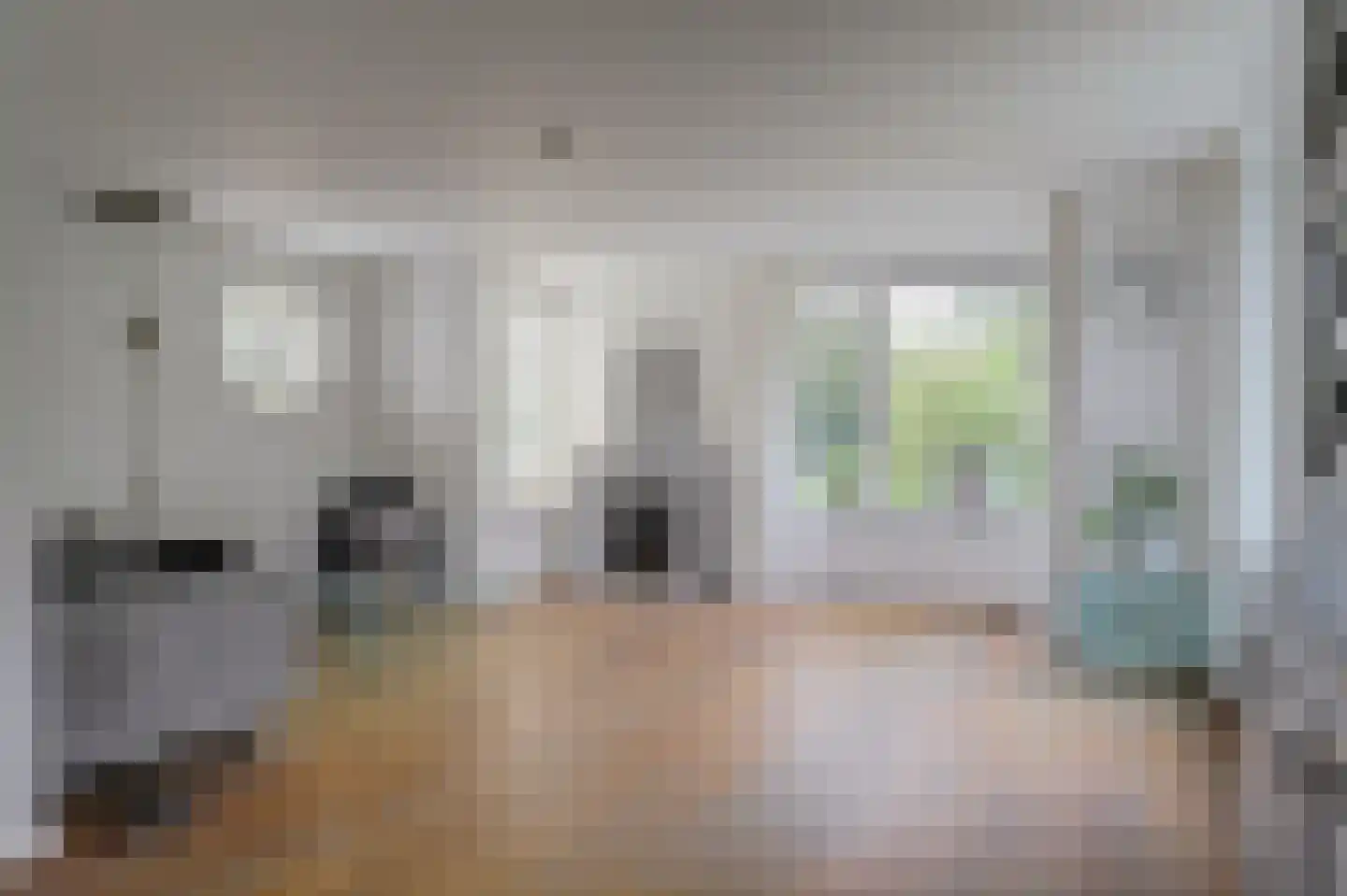 Nuwendoorn 94 Grootebroek thumbnail 9