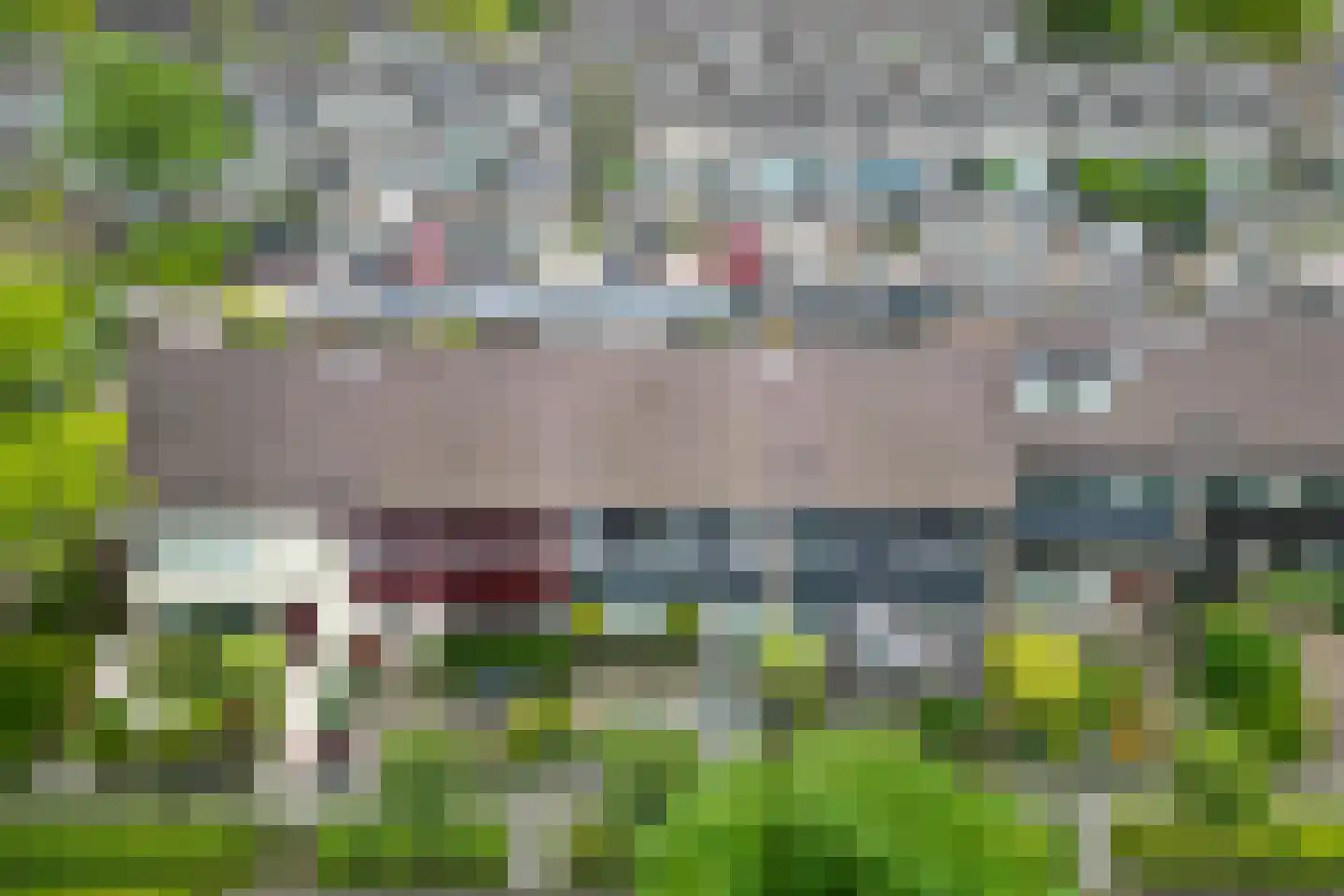 Nuyenburglaan 37 Heerhugowaard thumbnail 39