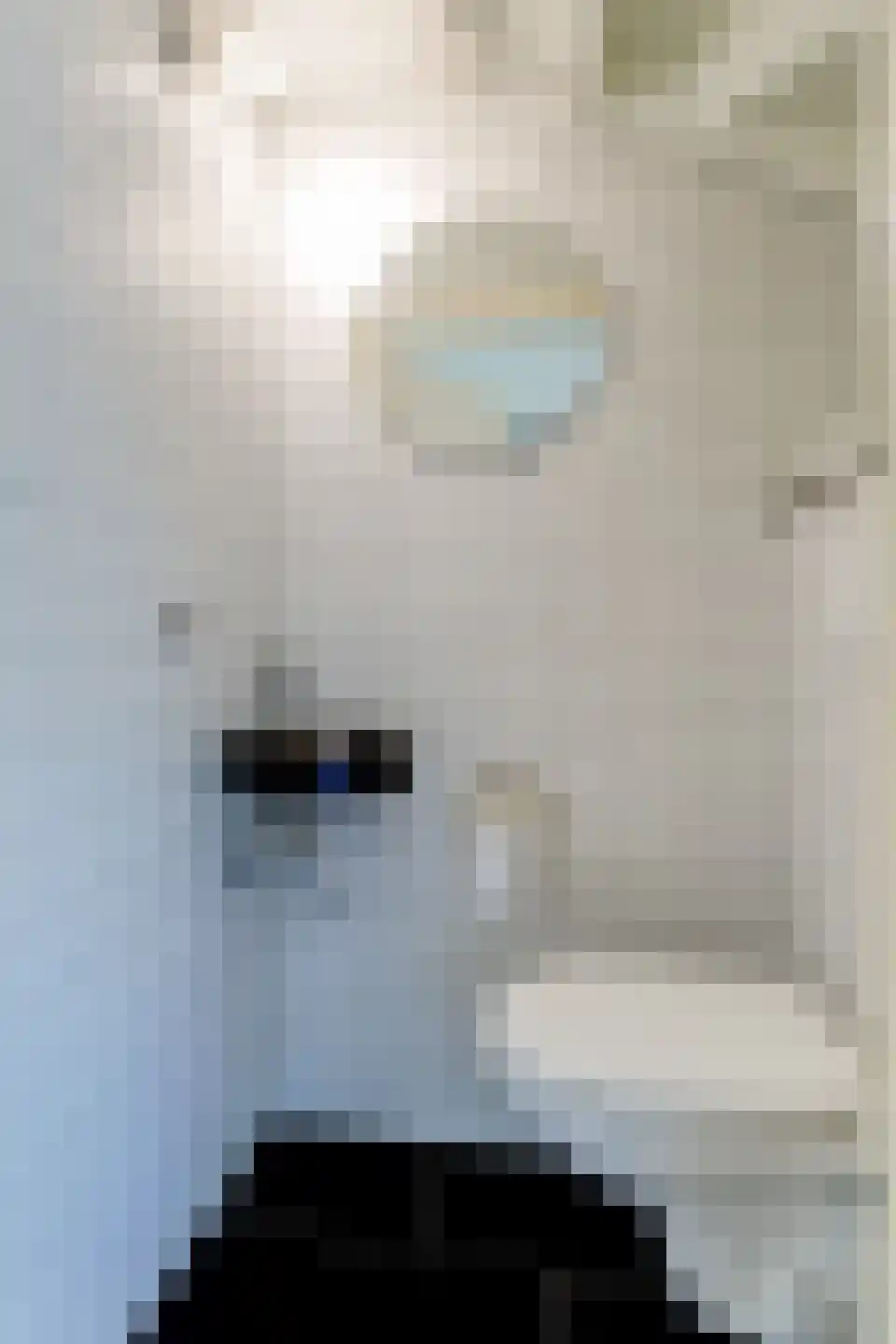 Nuyenburglaan 37 Heerhugowaard thumbnail 8
