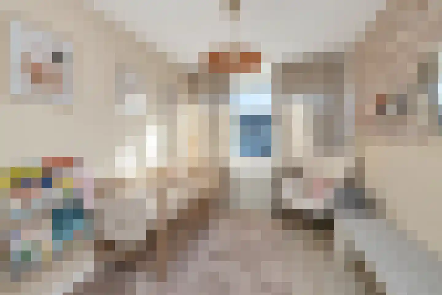 Nuyenburglaan 43 Heerhugowaard thumbnail 28