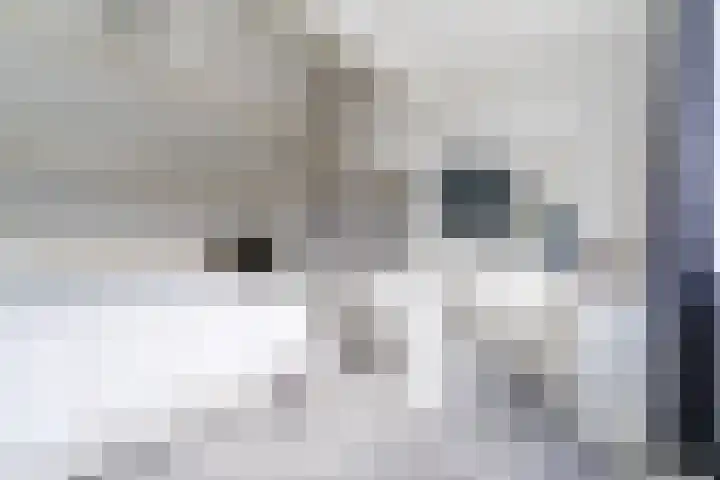 Nuyenburglaan 55 Heerhugowaard thumbnail 32