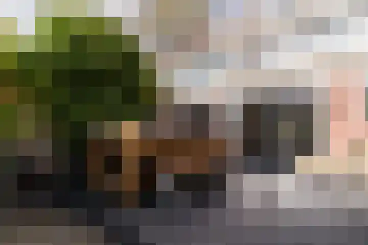 Nuyenburglaan 55 Heerhugowaard thumbnail 38