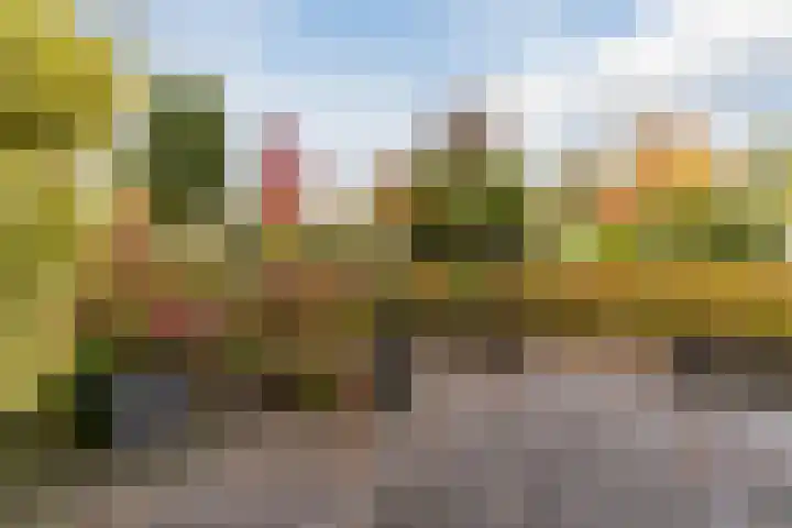 Nuyenburglaan 55 Heerhugowaard thumbnail 48
