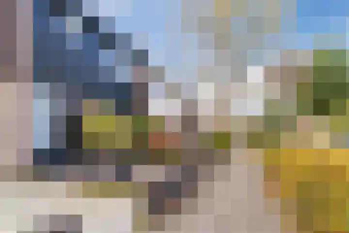 Nuyenburglaan 55 Heerhugowaard thumbnail 49