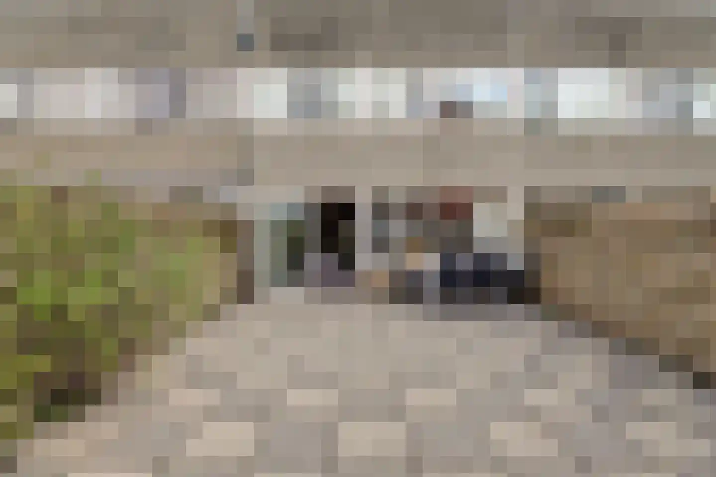 Nyckle Haismawei 5 Leeuwarden thumbnail 5