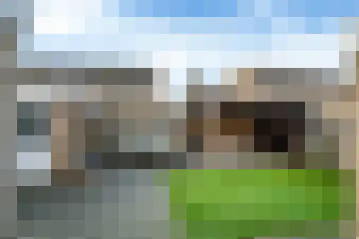Nycle J. Haismastrjitte 7 Gytsjerk thumbnail 15