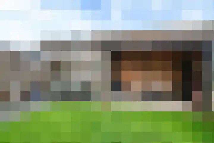 Nycle J. Haismastrjitte 7 Gytsjerk thumbnail 16