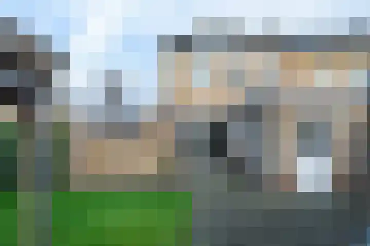 Nycle J. Haismastrjitte 7 Gytsjerk thumbnail 17