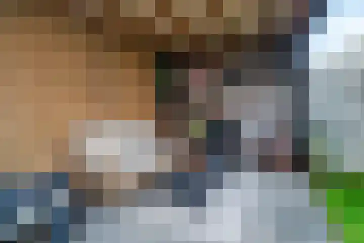 Nycle J. Haismastrjitte 7 Gytsjerk thumbnail 18