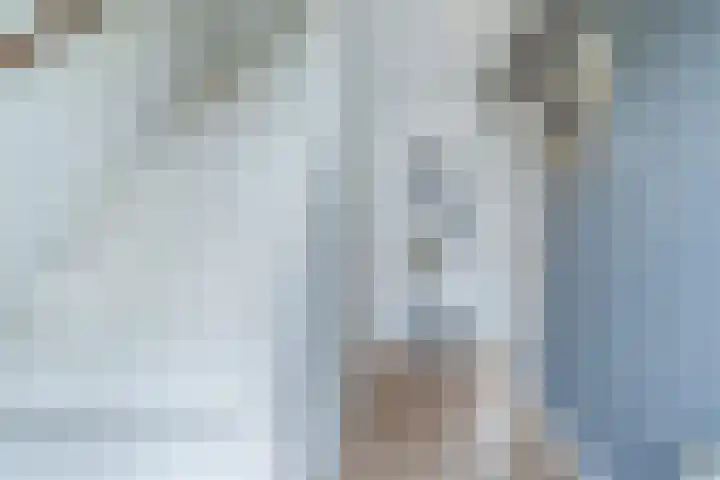Nycle J. Haismastrjitte 7 Gytsjerk thumbnail 24