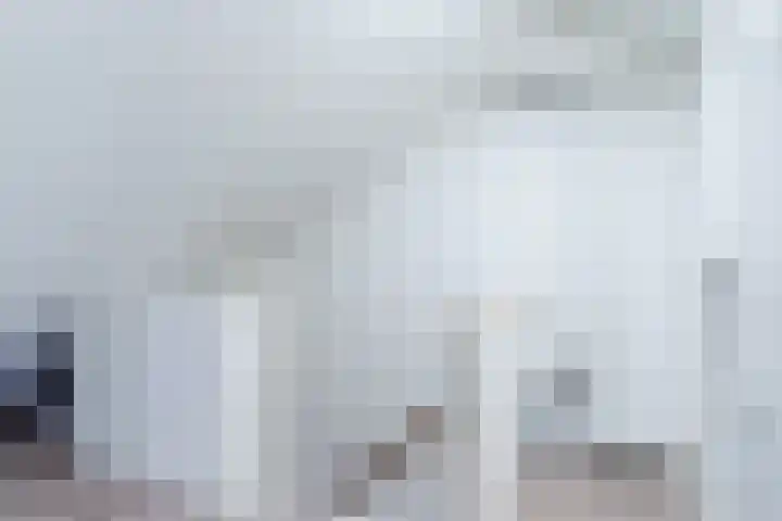 Nycle J. Haismastrjitte 7 Gytsjerk thumbnail 34