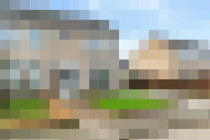 Nycle J. Haismastrjitte 7 Gytsjerk thumbnail 38