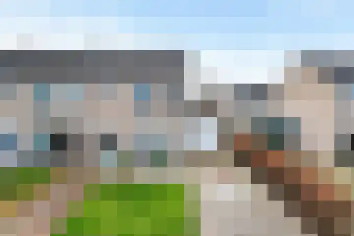Nycle J. Haismastrjitte 7 Gytsjerk thumbnail 39