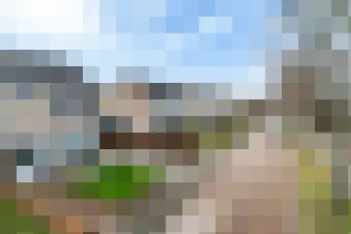 Nycle J. Haismastrjitte 7 Gytsjerk thumbnail 42