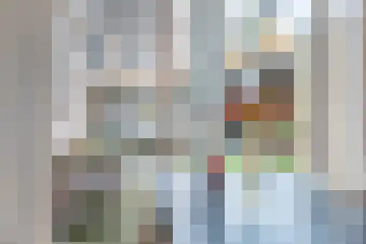 Nycle J. Haismastrjitte 7 Gytsjerk thumbnail 7