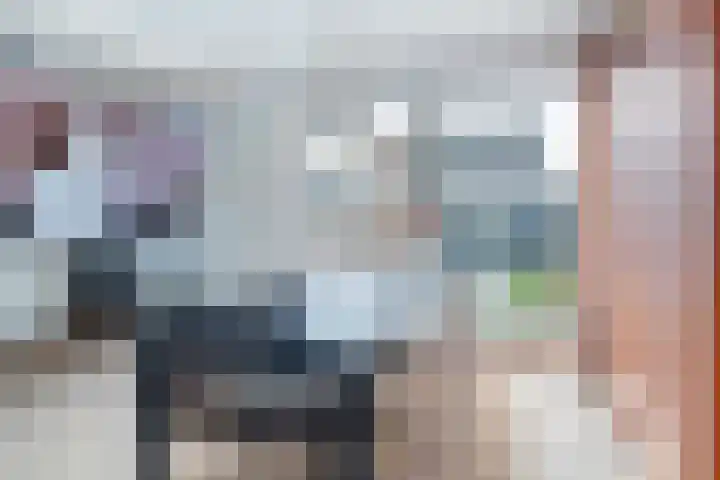 Nycle J. Haismastrjitte 7 Gytsjerk thumbnail 8