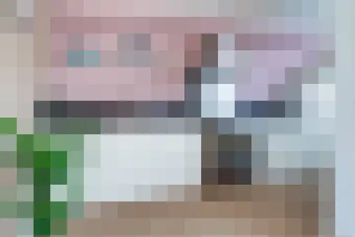 Nycle J. Haismastrjitte 7 Gytsjerk thumbnail 9