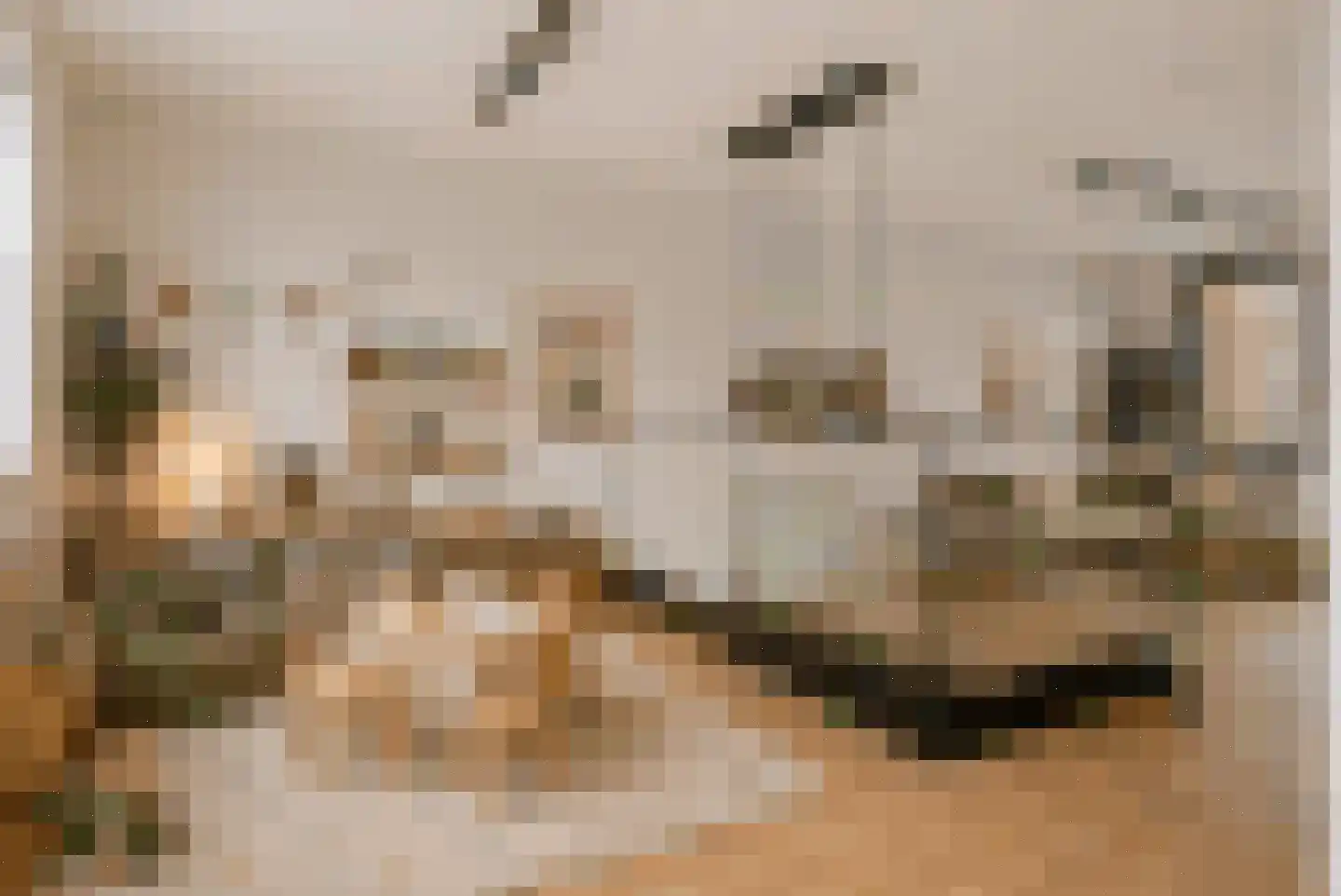 Nydia Ecurystraat 12 Amsterdam thumbnail 31