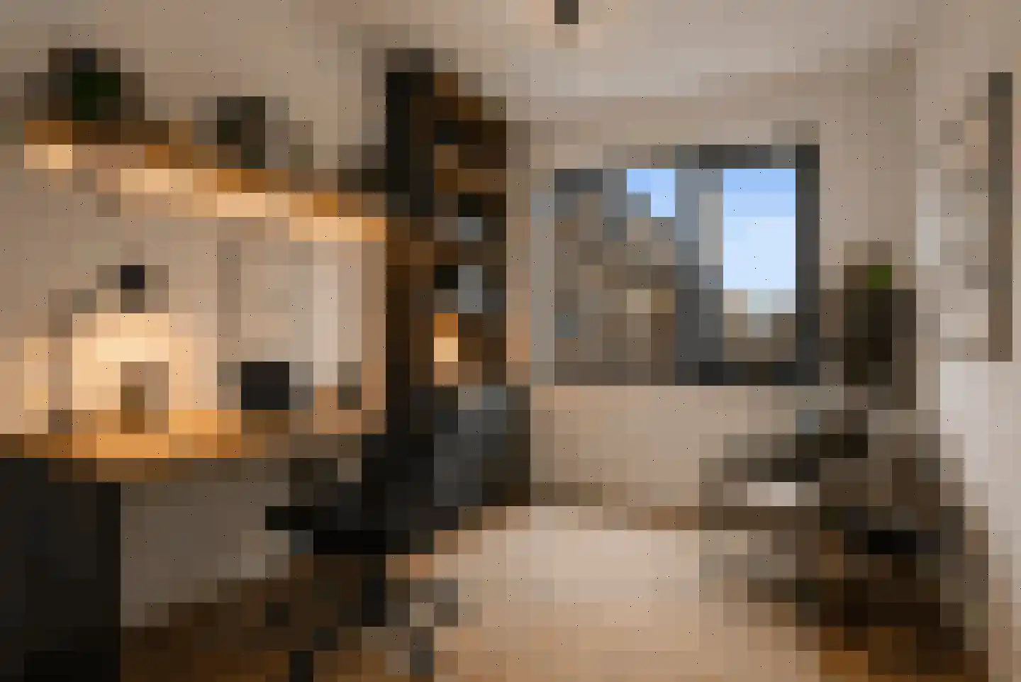 Nydia Ecurystraat 12 Amsterdam thumbnail 35