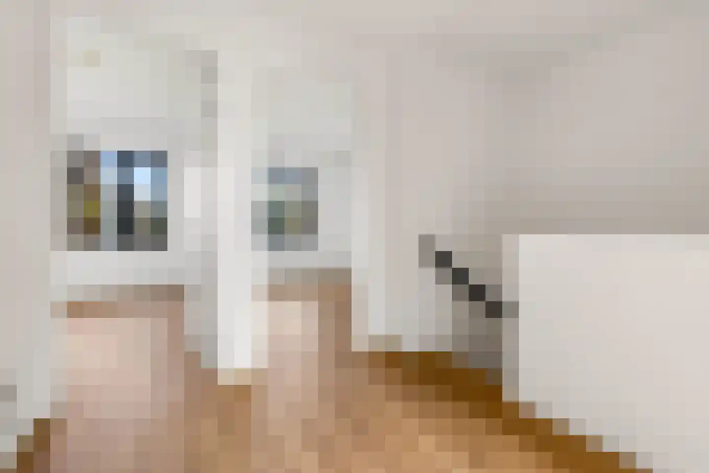 Nydia Ecurystraat 12 Amsterdam thumbnail 46
