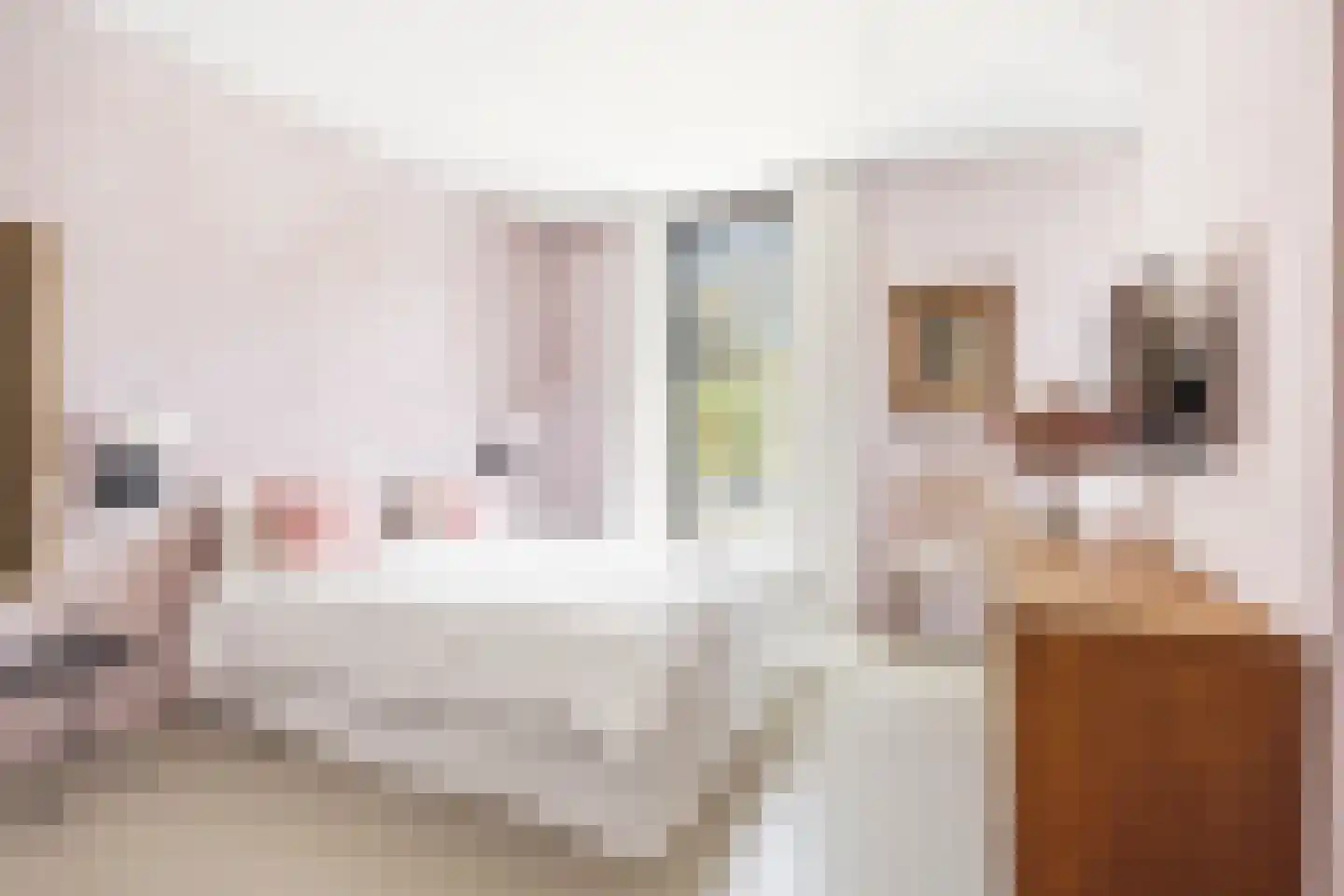Nydia Ecurystraat 16 Amsterdam thumbnail 22