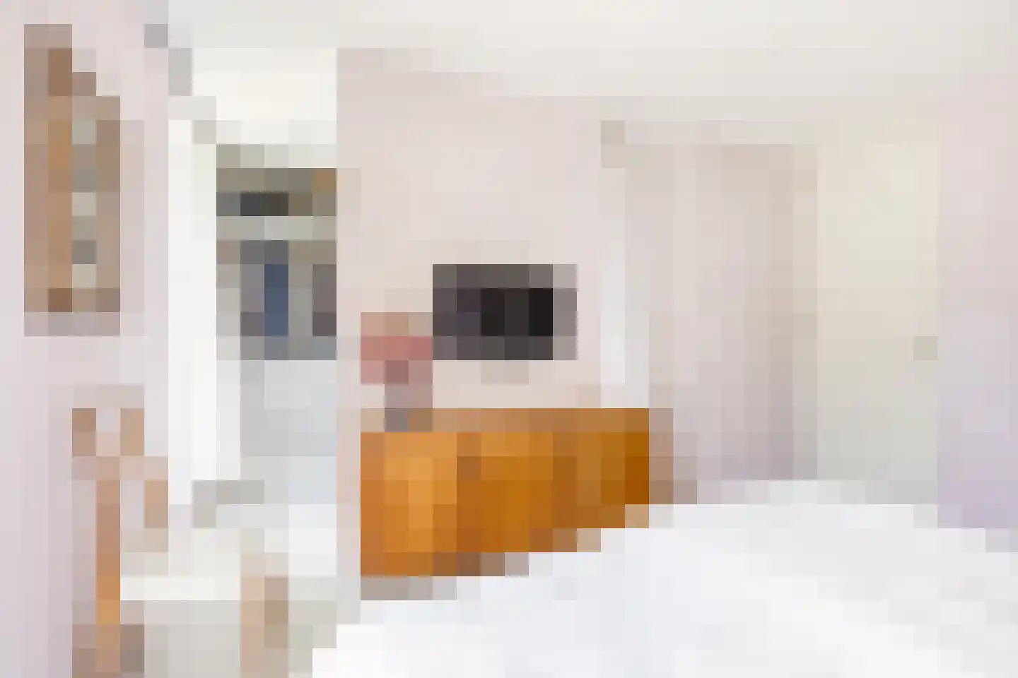 Nydia Ecurystraat 16 Amsterdam thumbnail 23
