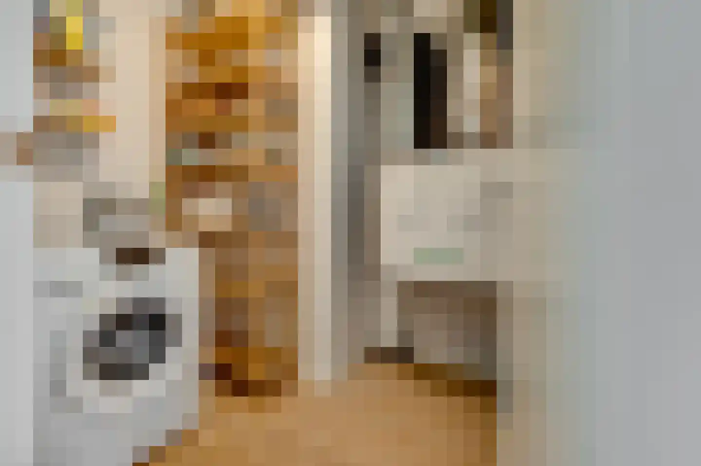 Nydia Ecurystraat 45 Amsterdam thumbnail 22
