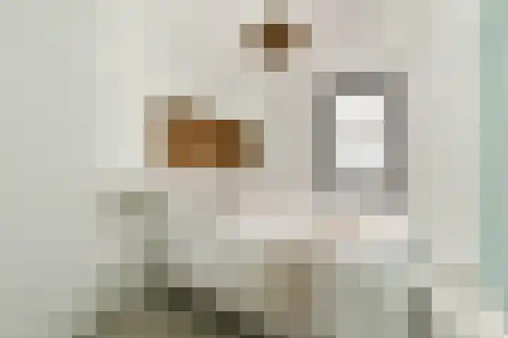 Nydia Ecurystraat 47 Amsterdam thumbnail 14