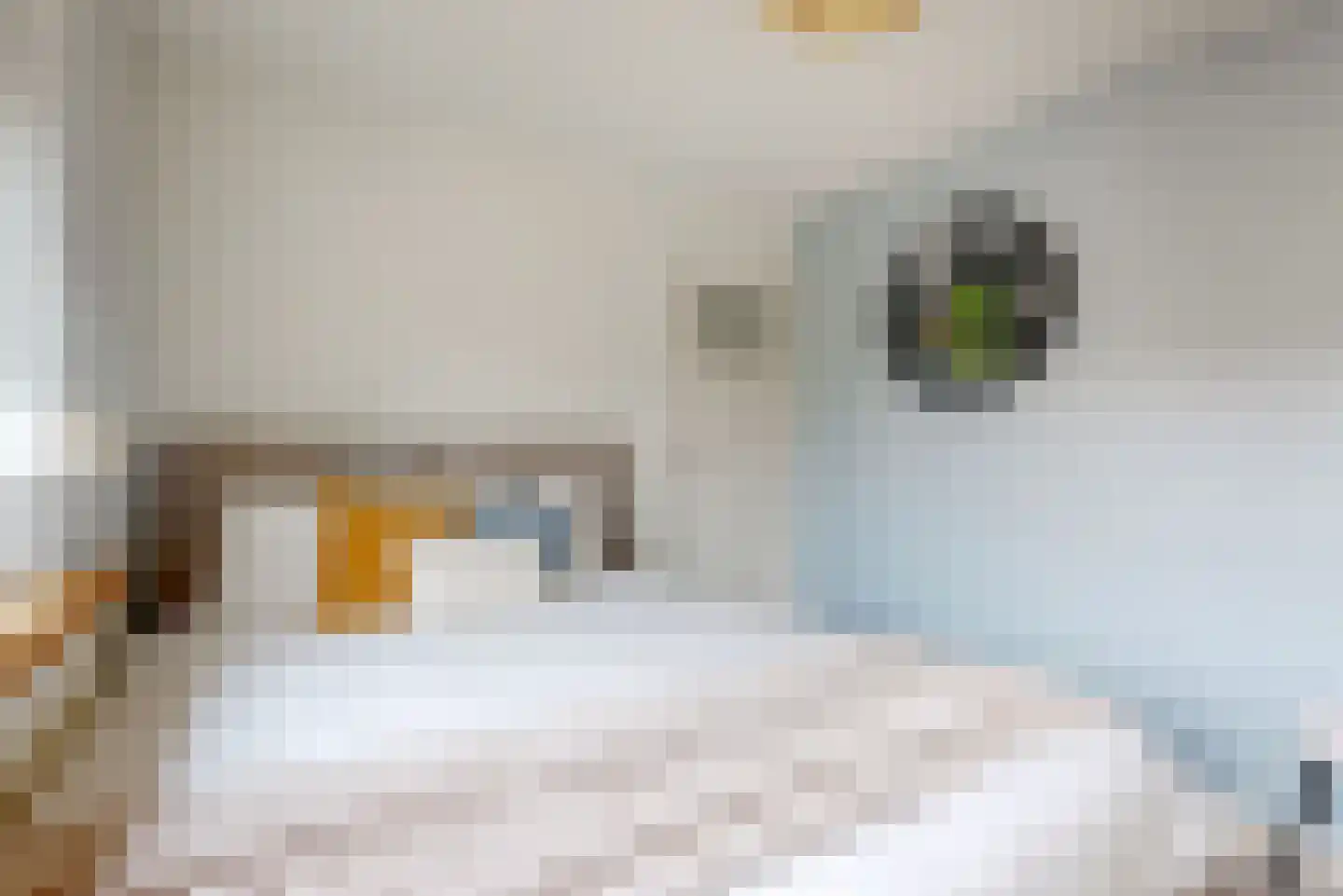 Nyeveltstraat 12 De Meern thumbnail 11