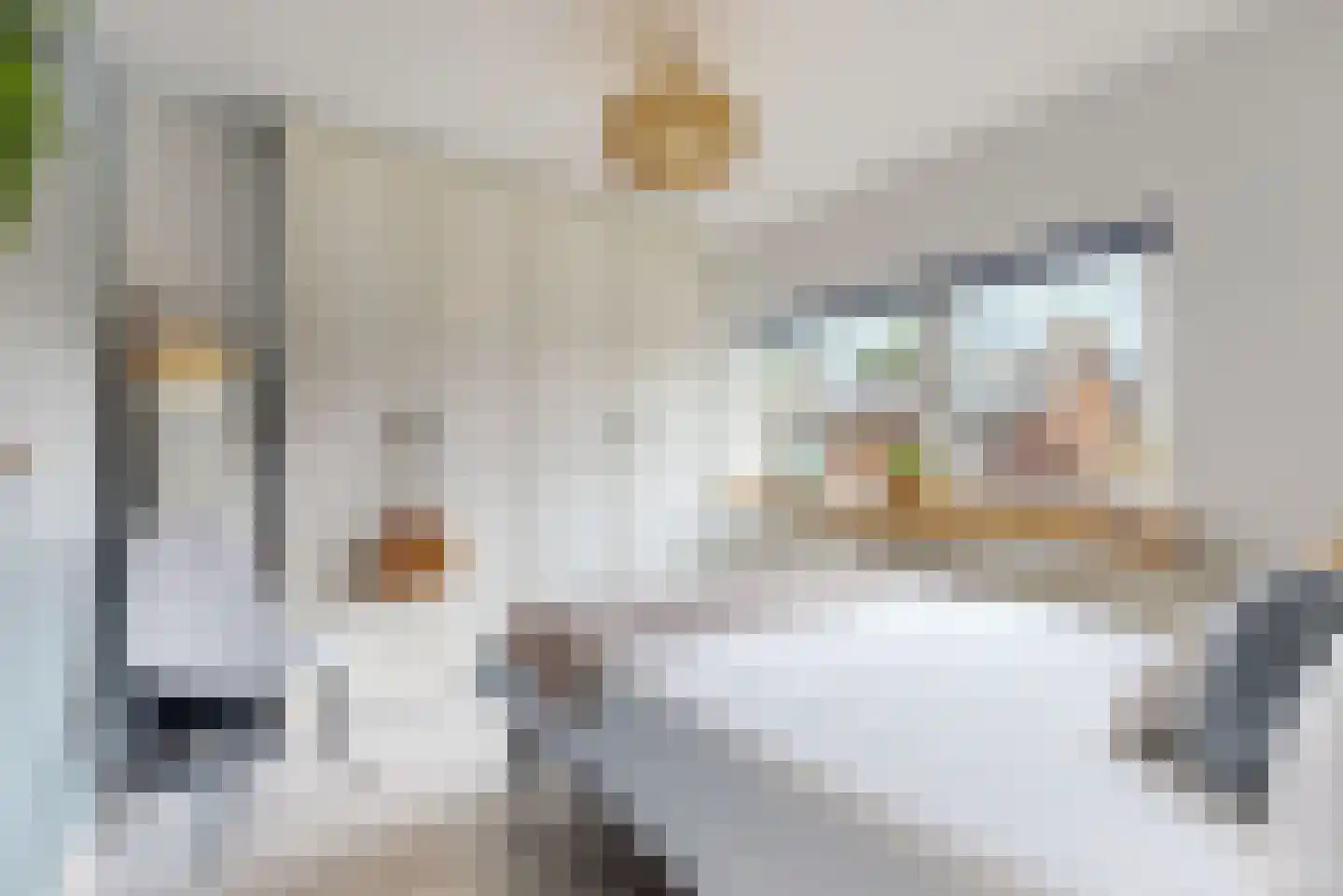 Nyeveltstraat 12 De Meern thumbnail 12