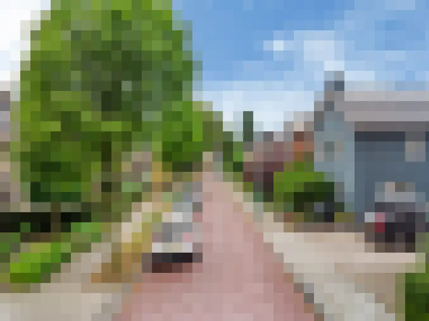 Nyeveltstraat 12 De Meern thumbnail 27