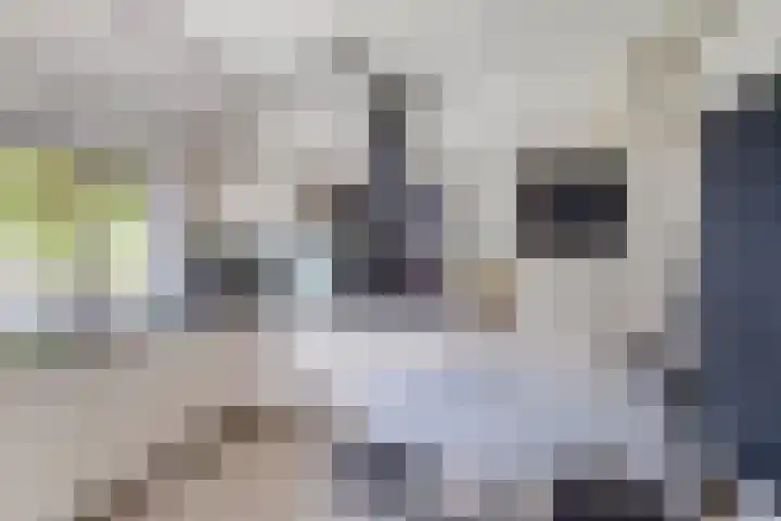 Nymphenhof 4 Maastricht thumbnail 10