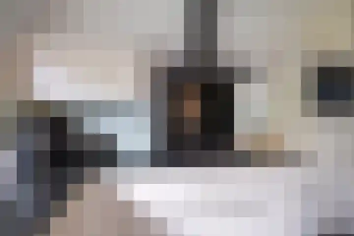 Nymphenhof 4 Maastricht thumbnail 11