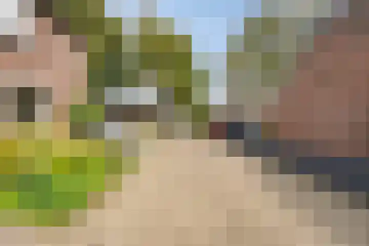 Nymphenhof 4 Maastricht thumbnail 29