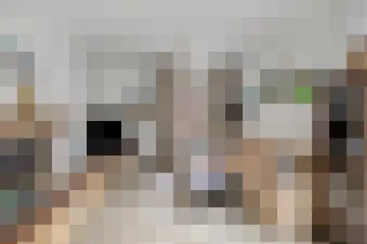 Nymphenhof 4 Maastricht thumbnail 6