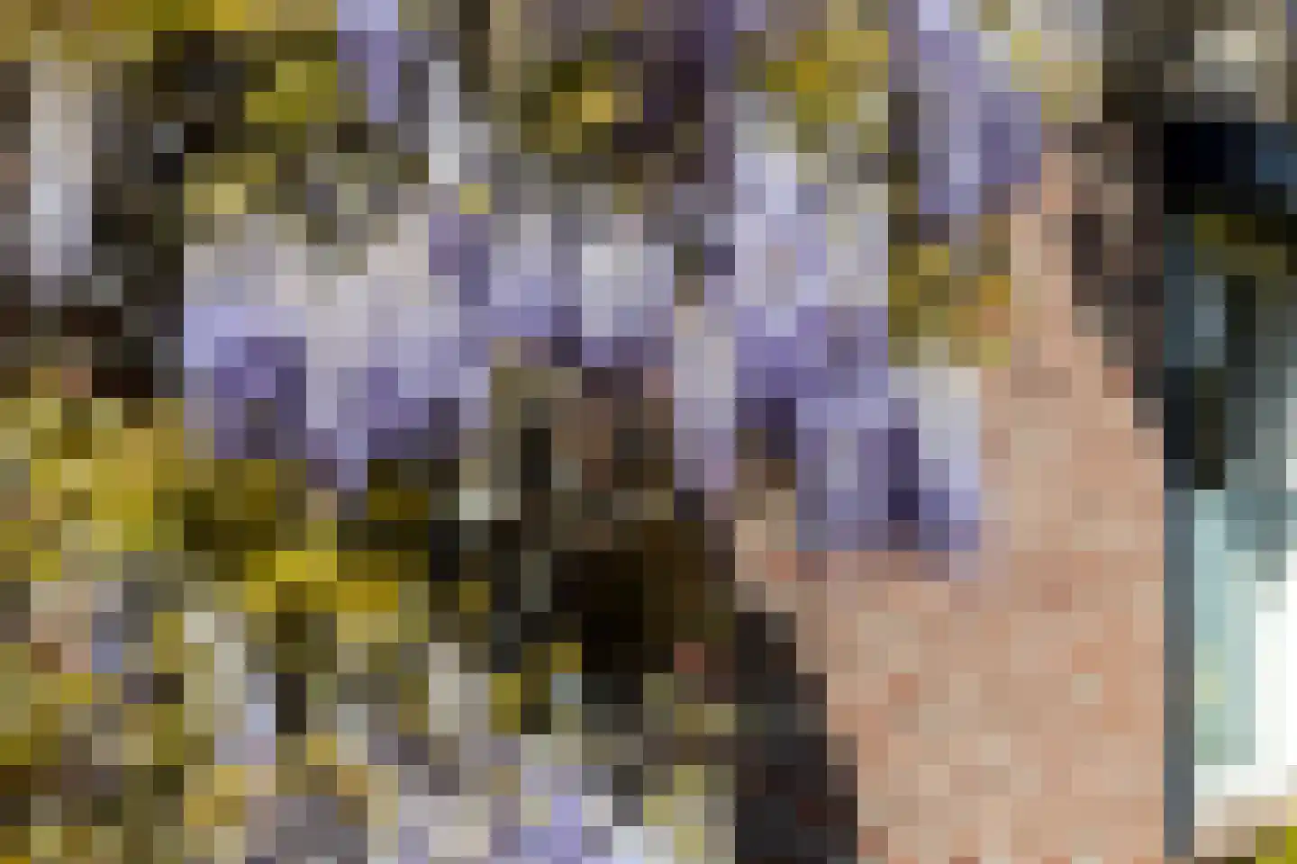 Nymphenhof 6 Maastricht thumbnail 4