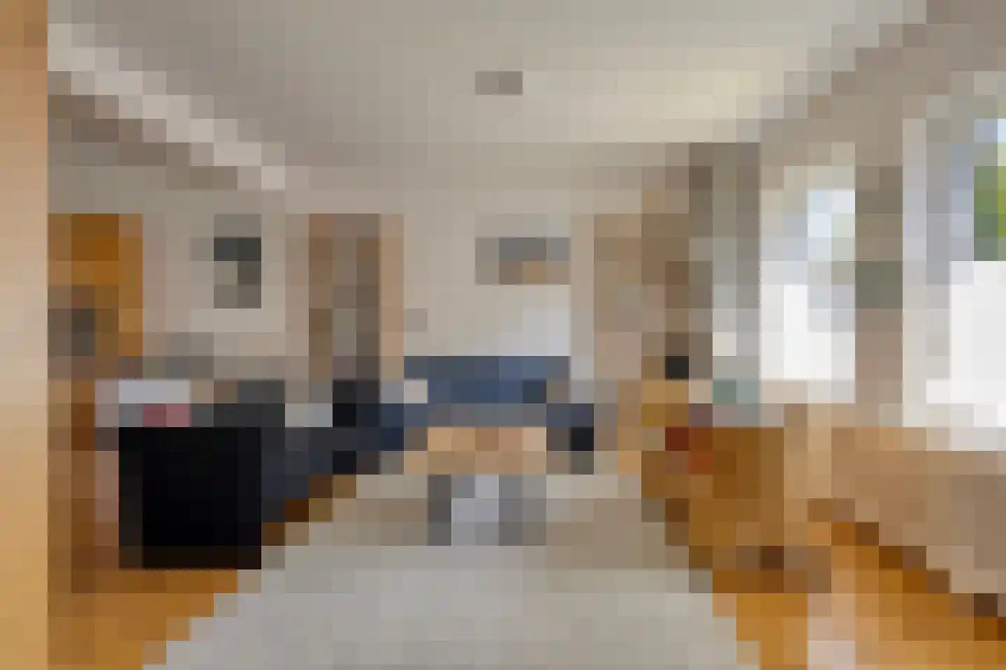 Nymphenhof 6 Maastricht thumbnail 7
