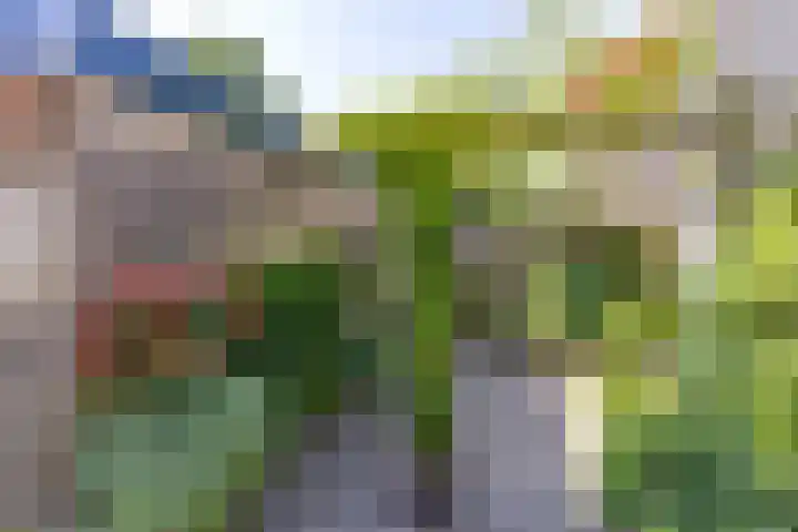 Nynke van Hichtumwei 3 Leeuwarden thumbnail 32