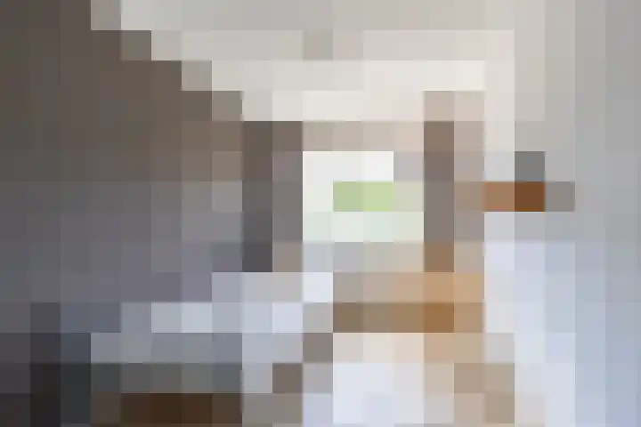 Nynke van Hichtumwei 3 Leeuwarden thumbnail 44